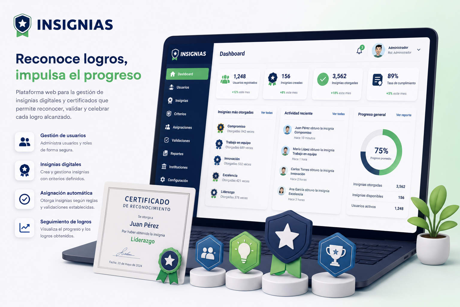 Interfaz de INSIGNIAS